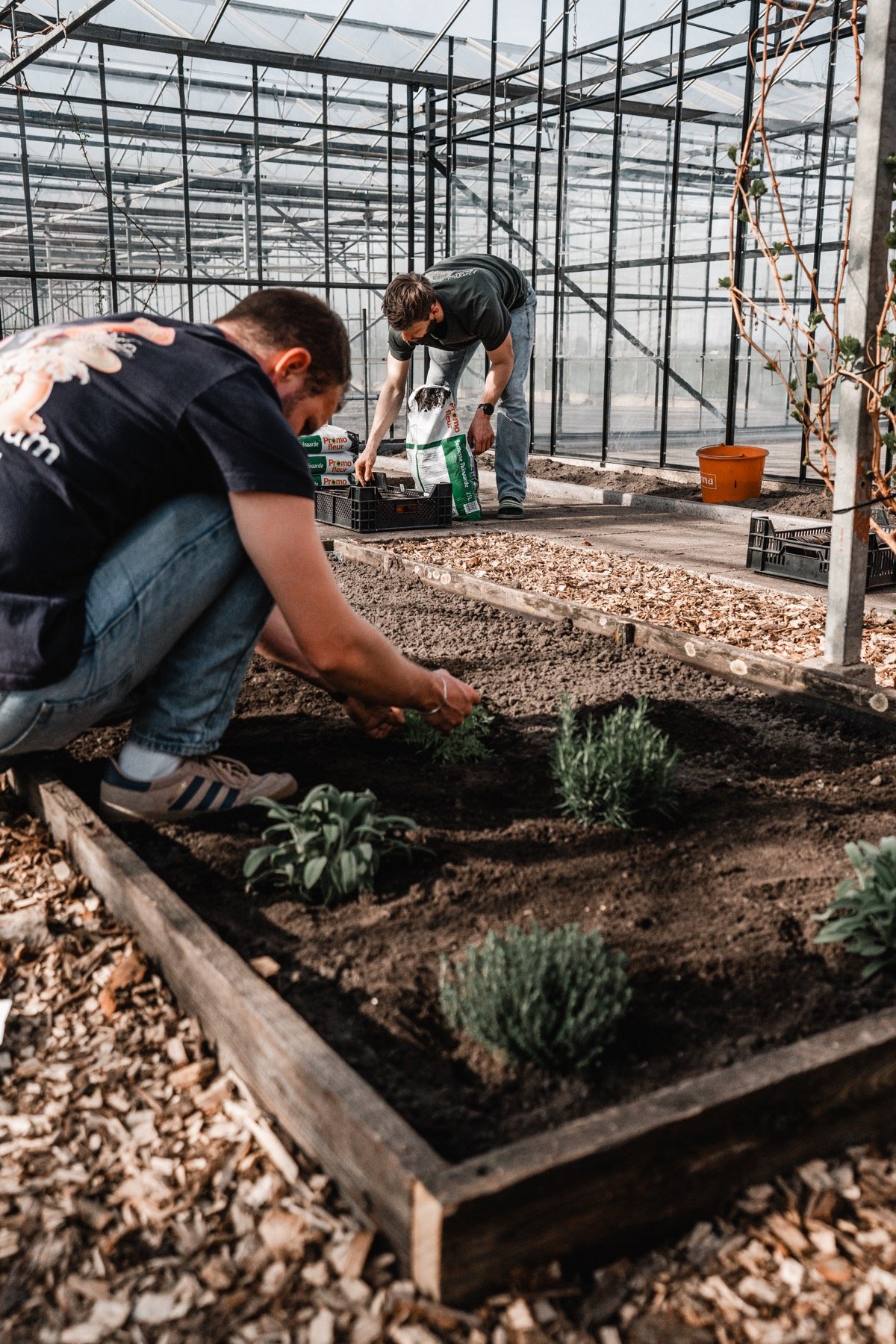 Samen planten en bouwen in de kas