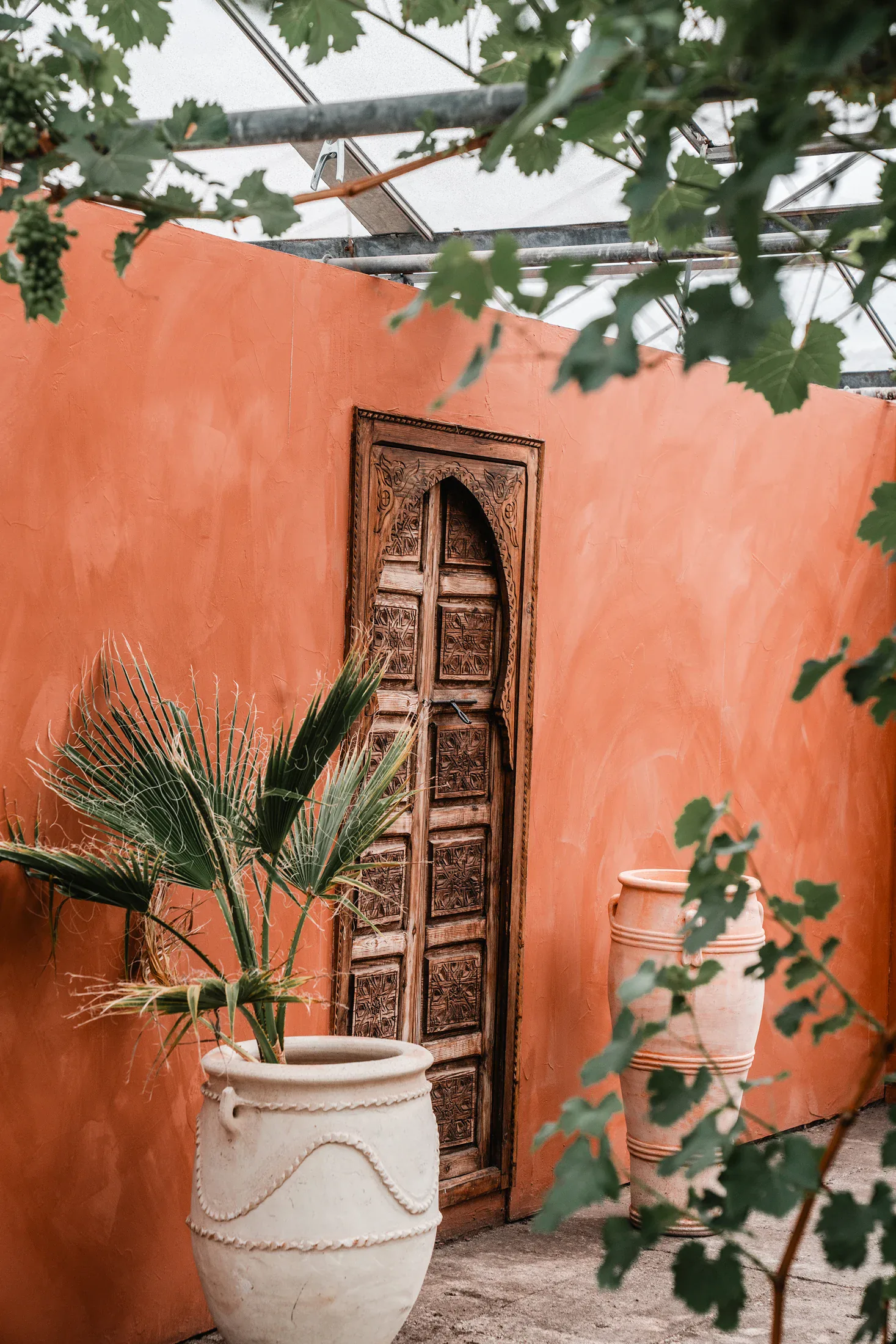 Houten deur, terracotta muren en groen in de kas