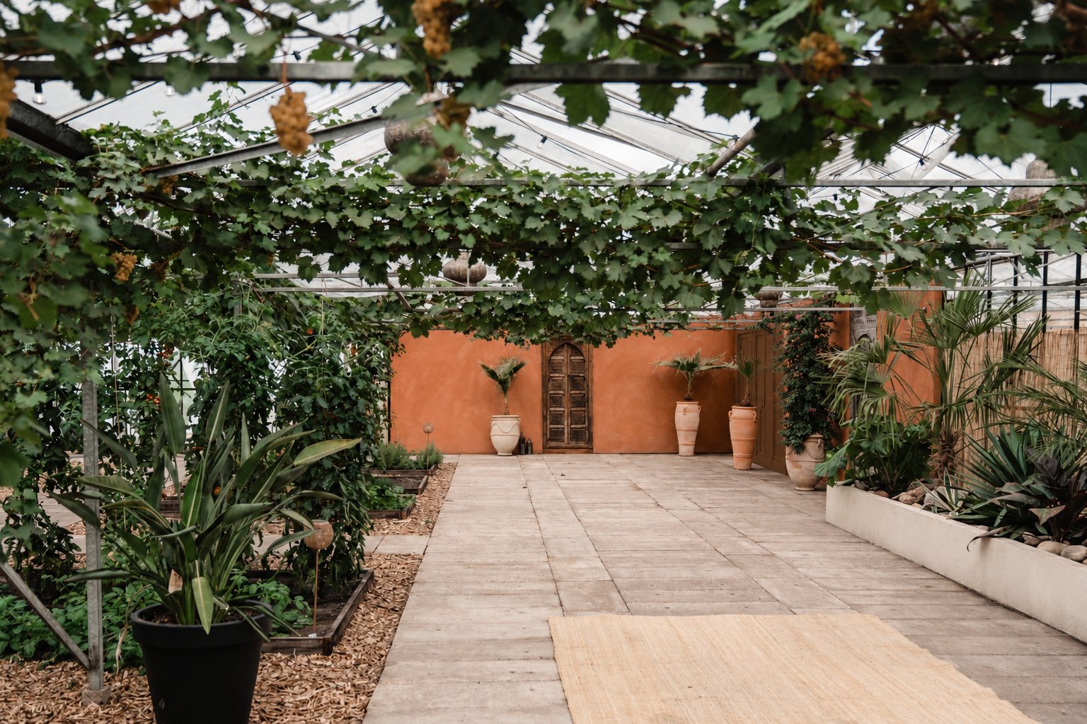 De ruime kas met planten en natuurlijke materialen
